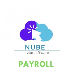 Payroll (Nube)
 Periodo-12 meses